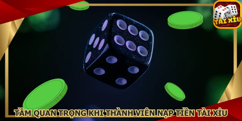 tam-quan-trong-khi-thanh-vien-nap-tien-tai-xiu